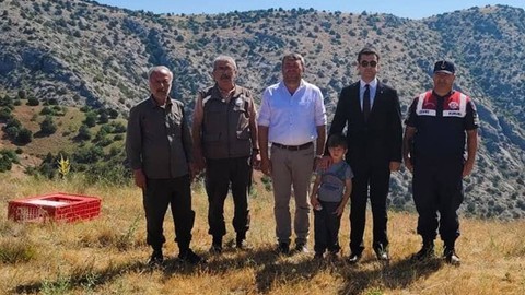 Yozgat'ta 225 tanesi jandarma korumasında özel kafesler içerisinde doğaya getirildi. Ardından 225 tane doğaya salındı