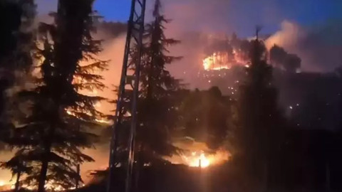 Ciğerlerimiz yanıyor… Kahramanmaraş'taki orman yangını 26 saattir devam ediyor