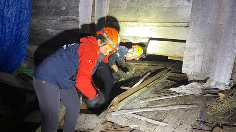 Artvin’de çöken ahırın enkazından 33 hayvan çıkarıldı, görenler nefesini tuttu