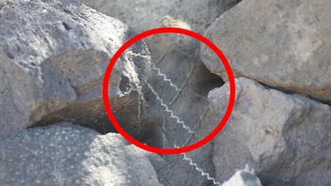 Kars'ta doğada kayalıkların arasında bir anda 1 tanesi fırladı. Önce fark edilmedi ama o doğanın en tehlikelisi