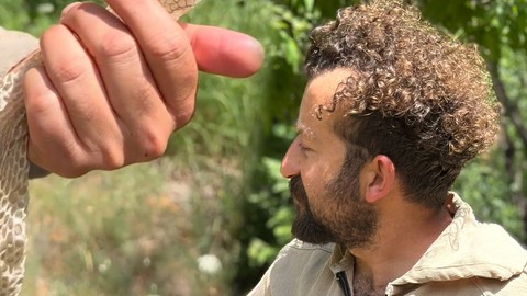 Hakkari'de doğa gözlemcisi çalılıkların arasında buldu... Tamamen bozulmamıştı, onu gördüğünde durumun ciddiyetini anladı sahibi korkunç kayıp 1 hayvan