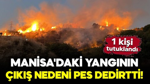 Manisa'daki yangının çıkış nedeni pes dedirtti! 120 dönüm tarım arazisi zarar gördü: 1 tutuklama