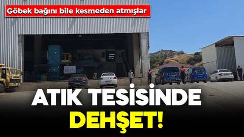Atık tesisinde korkunç olay! Göbek bağı kesilmemiş bebek cesedi bulundu