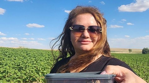 Kırşehir'de doğal ortamında ilk kez görüldü. 1 tane hayvanı ilk gören vatandaşlar dondu kaldı