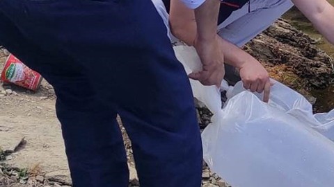 Kütahya’da doğaya tam 40 bin 700 tanesi bırakıldı. Özel poşetler içerisinde korunarak getirildiler