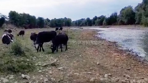 Sakarya Akyazı’da Mudurnu Çayı ve Küçücek Deresi’ndeki kirlilik mahalleliyi tedirgin etti