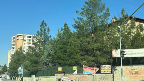 25 yıldır geleceğe miras bırakmak için her yıl binlerce fidan dikiyor