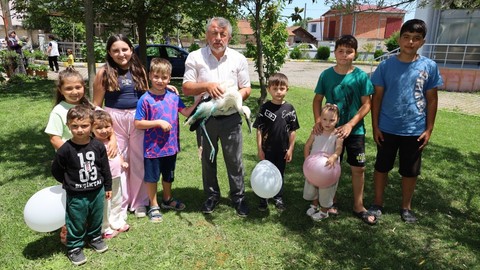 Samsun'da imam yaralı leyleği kurtardı. Kurtarılan leylek Kur'an kursunun gözdesi oldu