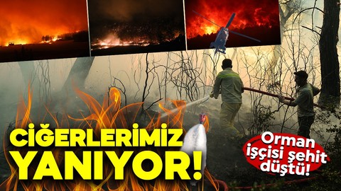 İzmir orman yangını: İzmir'in Çeşme, Ödemiş ve Buca ilçelerinde korkunç manzara!