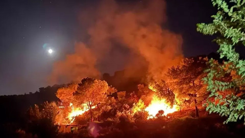 3 ilde orman yangınları kontrol altında