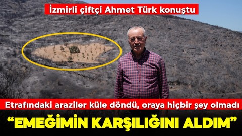 Etrafındaki araziler küle döndü, bir tek orası yangından etkilenmedi! İzmirli çiftçi Ahmet Türk konuştu: "Emeğimin karşılığını aldım"