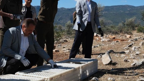 Karaman’da 500 tanesi doğaya bırakıldı... 500 tanesinin  de Türkiye için çok önemli 1 görevi var