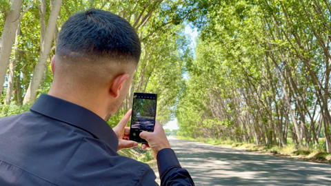 Tokat Bağlarbaşı köyü girişindeki ağaç tüneli görenleri hayran bırakıyor