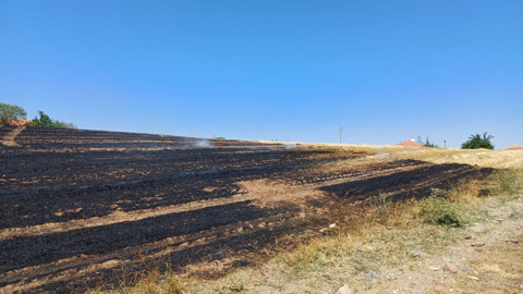 Çorum Alaca’da çıkan anız yangınında korkulan olmadı. Yangın yerleşim alanlarına sıçramadan söndürüldü