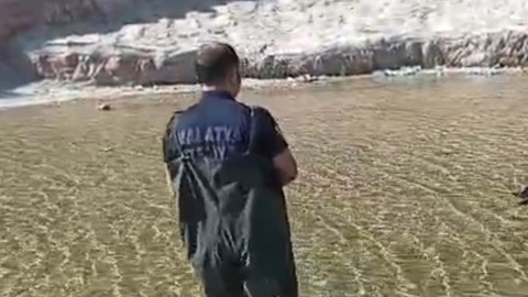 Malatya'da süs havuzunda bulunan yaralı ve çaresiz halde bulunan hayvan kurtarıldı