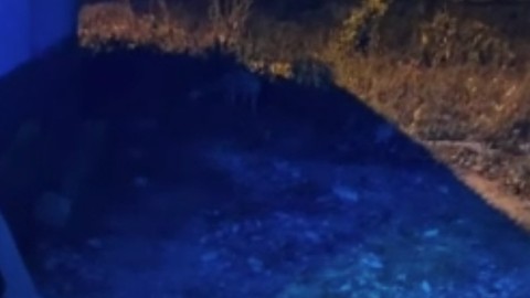 Bayburt’ta bir vatandaşın o hayvanı beslemek için verdiği çaba yürekleri ısıttı