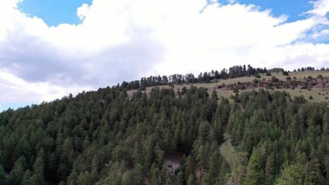 Konya'da ormanlık alanlara girişler yasaklandı