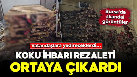 Bursa'da skandal olay! Koku ihbarı rezaleti ortaya çıkardı: Vatandaşlara yedireceklerdi...