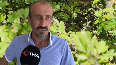 Hatay'da doğada çalılıkların arasında ortaya çıktı. 1,5 metre boyu vardı vatandaşlar önce dehşete düştü sonra onu tanıdı