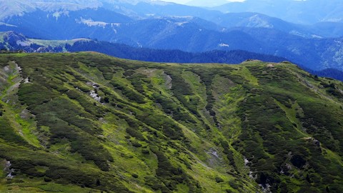 Ilgaz Dağı'nda bahar yeni yaşanmaya başladı, çiçekler renk cümbüşü oluşturdu