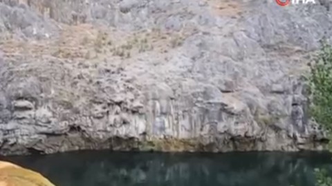 Elazığ’da koruma altındaki görülmesi zor hayvanların 1 değil tam 3 tanesine denk geldi