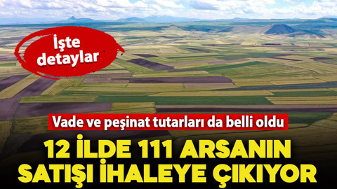 Emlak Müzayede 12 ilde 11 arsanın satışını ihaleye çıkarıyor! Vade ve peşinat tutarları da belli oldu:  İşte ödeme şartları