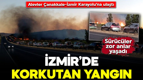 İzmir Urla ve Aliağa'da orman yangınları! Alevler karayoluna ulaştı: Sürücüler zor anlar yaşadı