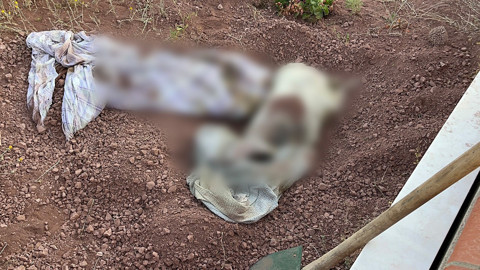 Mezarlıkta kan donduran olay! Bezi açan ekipler şoke oldu