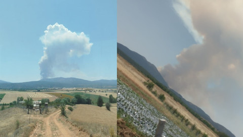 Konya'da orman yangını