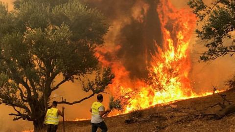 Adıyaman’da orman yangını: Ekiplerin müdahalesi sürüyor