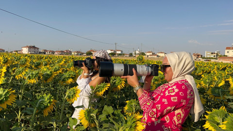 Karaman’da ayçiçeği tarlaları, fotoğraf tutkunlarının doğal stüdyosu oldu