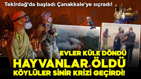 Tekirdağ'da başladı Çanakkale'ye sıçradı! Yerleşim yerlerine ilerliyor: Evler küle döndü, hayvanlar öldü, köylüler sinir krizi geçirdi!