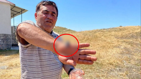 Sivas'ta görüldü, rakamı duyan elini bile sürmüyor! Cezası 557 bin TL!