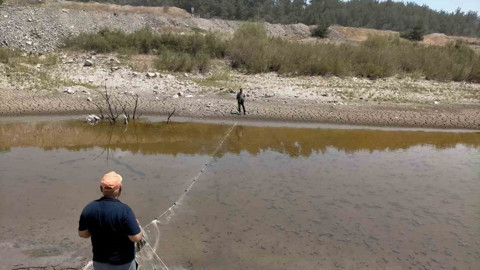 Manisa’da gölette tehlike çanları çalmaya başladı! Kurumlar harekete geçti, sessizce taşındılar