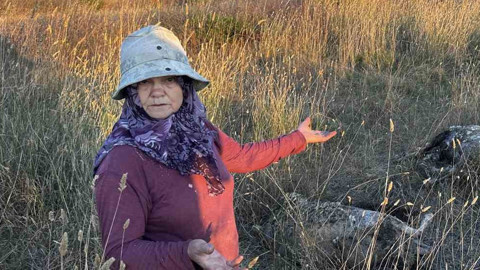 İstanbul’un hemen dibinde sabah saatlerinde yaşandı! 5 tanesi yerdeydi, seslerini kimseye duyuramadılar