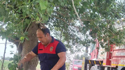 Hatay’da dereye düşen o canlının yardımına onlar koştu! Çamurun içinden nefes nefese çıkarıldı