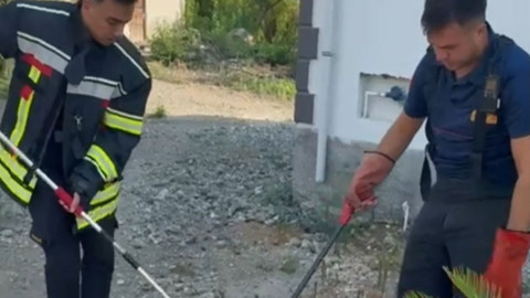 Osmaniye’de evin bahçesine girdi! Yakalandıktan sonra yapılan o hareket, görenleri hem şaşırttı hem duygulandırdı