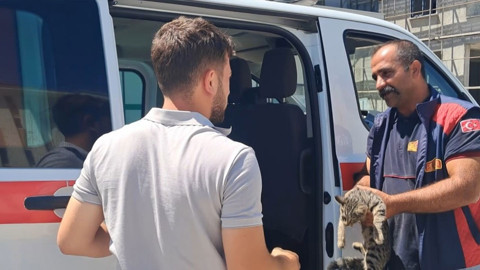 Motor kısmına sıkışan kedi itfaiye ekiplerinin müdahalesiyle kurtarıldı