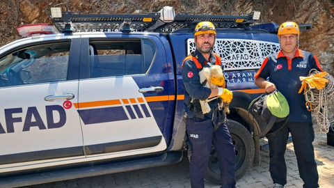 Muhtarın fark ettiği yaralı leylek ekiplerce kurtarıldı, tedaviye alındı