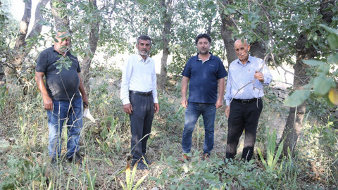 Siirt'te mezarlıkta ortaya çıktı! Koparan yandı: 557 bin TL cezası, köylüler nöbete geçti