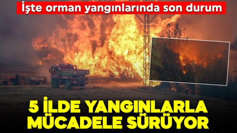 5 ilde orman yangınlarıyla mücadele devam ediyor: İşte son durum!