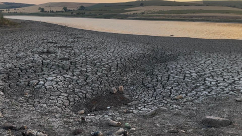 Tekirdağ’da doğanın tam ortasında korkunç tablo! Yüzlerce canlı için artık çok geç