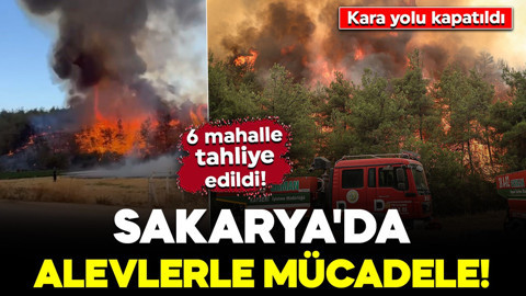 Sakarya'daki orman yangınında son durum! 6 mahalle tahliye edildi: Kara yolu kapatıldı
