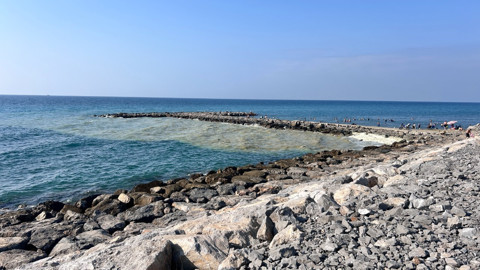 Hatay'da deniz yüzeyinde oluşan köpüksü beyaz tabaka endişeye neden oldu