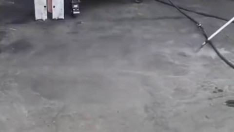 Tamirhaneye giren sürüngen herkesi dışarı kaçırdı! O anlar paniğe neden oldu