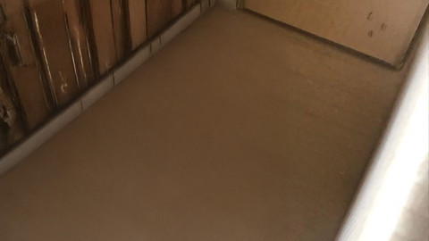 Sinop kırsalında hareketsiz halde bulundu, ne olduğu yaklaşınca anlaşıldı