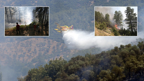 Orman yangınlarıyla mücadelede son durum: 6 ilde yangınlar kontrol altına alındı