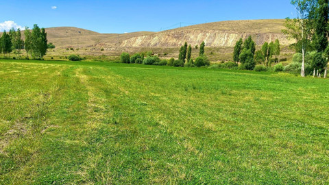 Bayburt’ta yem bitkisi üretimi sahada kontrol ediliyor, ekipler köy köy geziyor