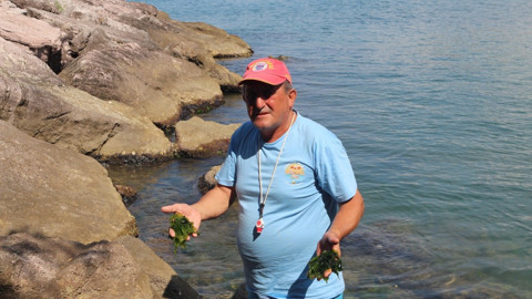 Sırrı taşların arasında gizliydi, Japon araştırmacılar bile peşine düştü