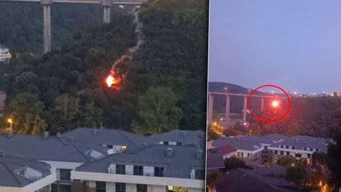 İstanbul Beykoz'da orman yangını: 1 kişi gözaltına alındı
